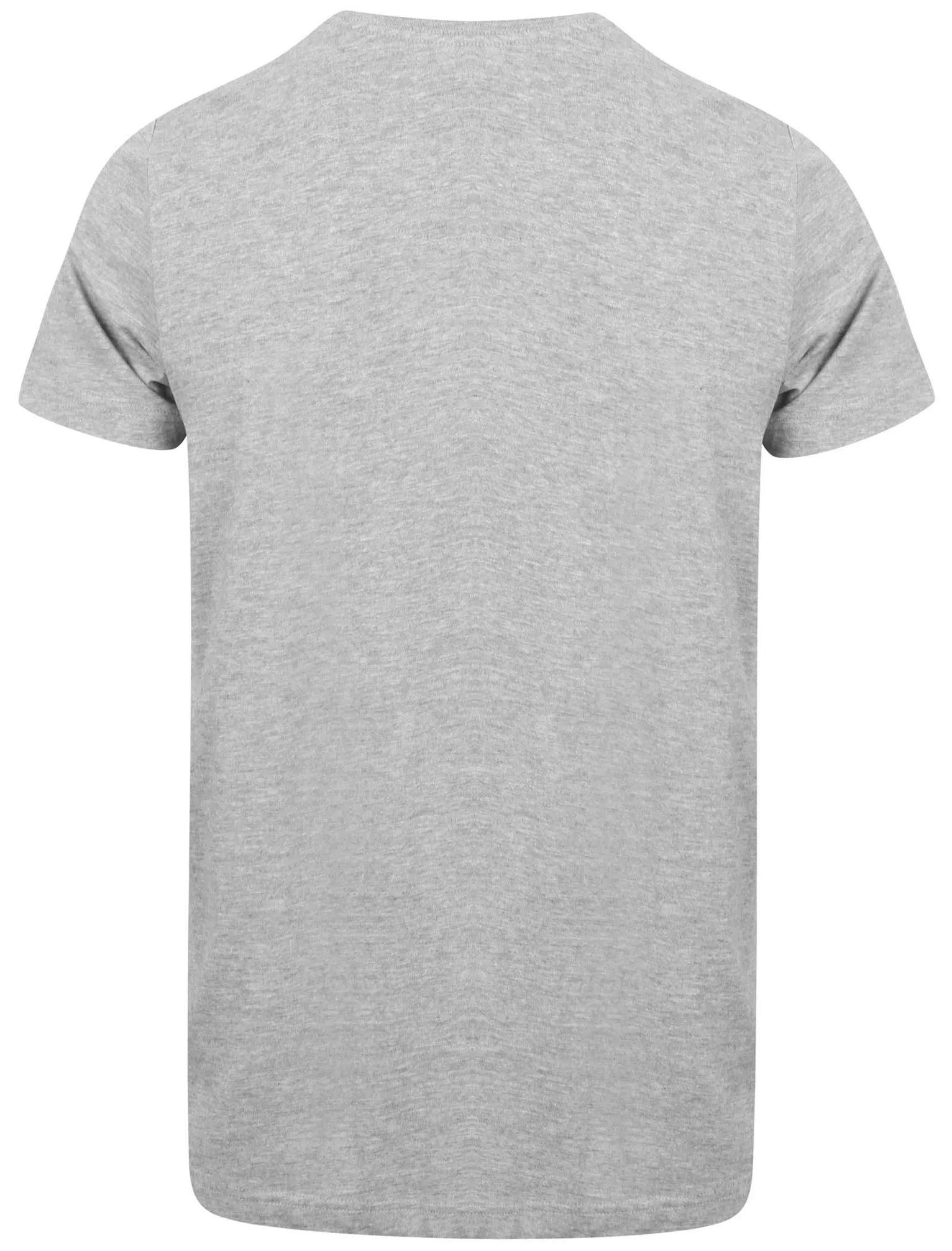 Bro Brooklyn Graphic Motif Cotton T-Shirt In Light Grey Marl - Dissident sold by Tokyo Laundry product image thumbnail 2