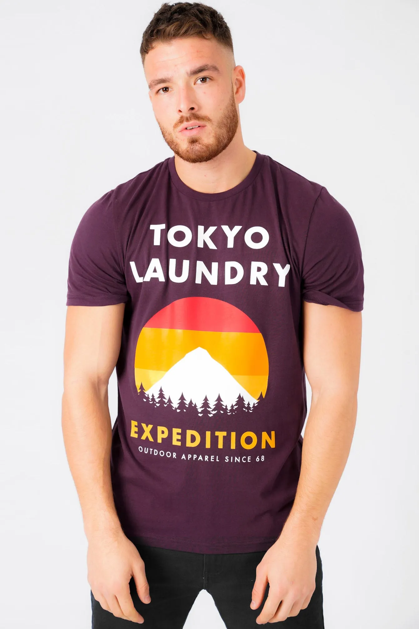 Platfield Motif Cotton Jersey T-Shirt In Plum Perfect - Tokyo Laundry sold by Tokyo Laundry
