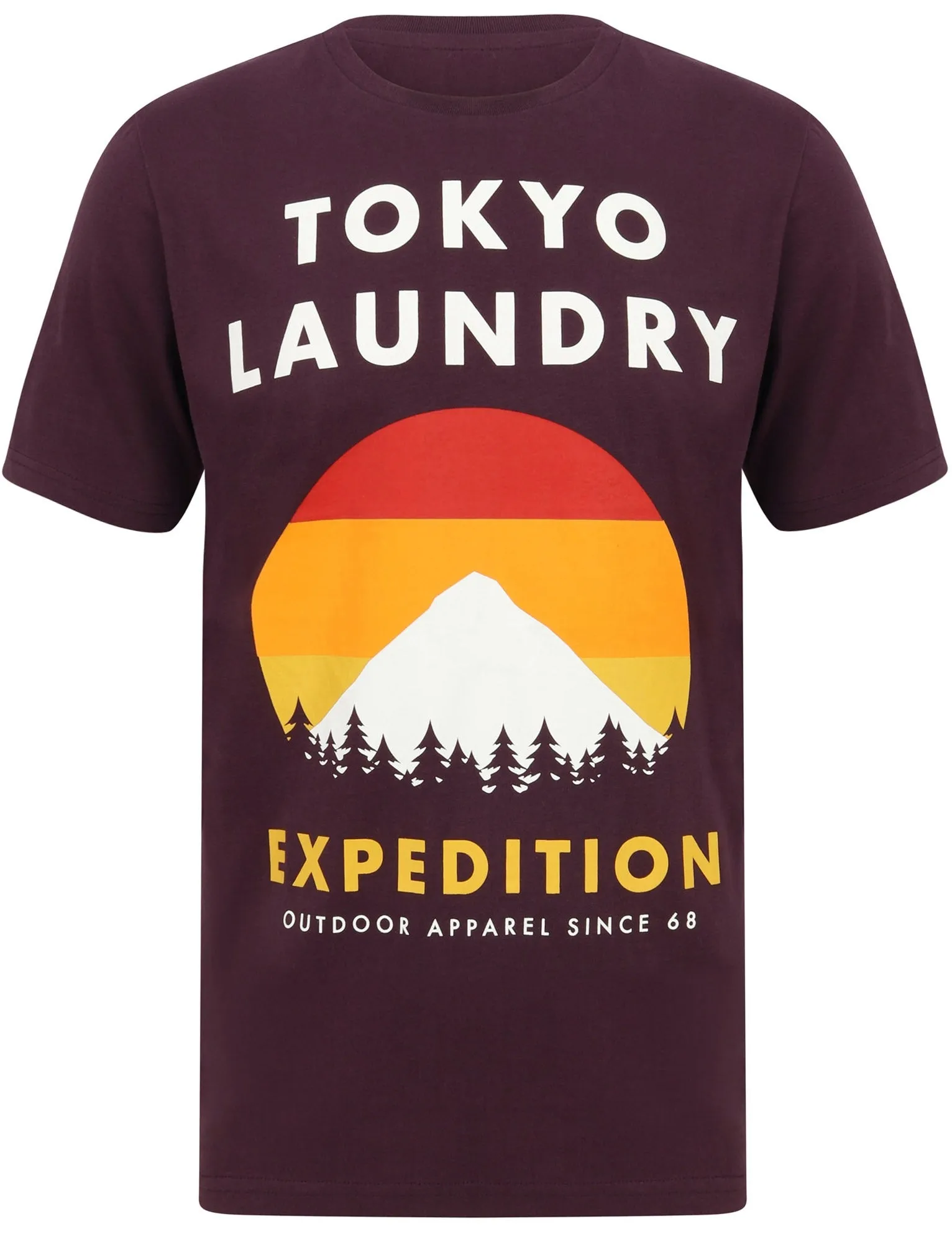 Platfield Motif Cotton Jersey T-Shirt In Plum Perfect - Tokyo Laundry sold by Tokyo Laundry product image thumbnail 5