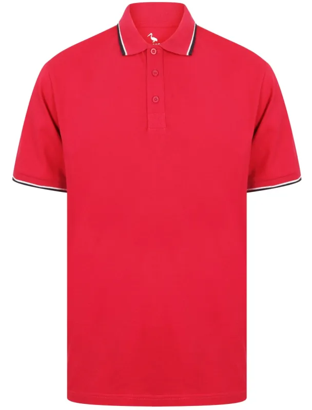 Osten Basic Cotton Pique Polo Shirt With Tipping in Cherries Jubilee - South Shore sold by Tokyo Laundry
