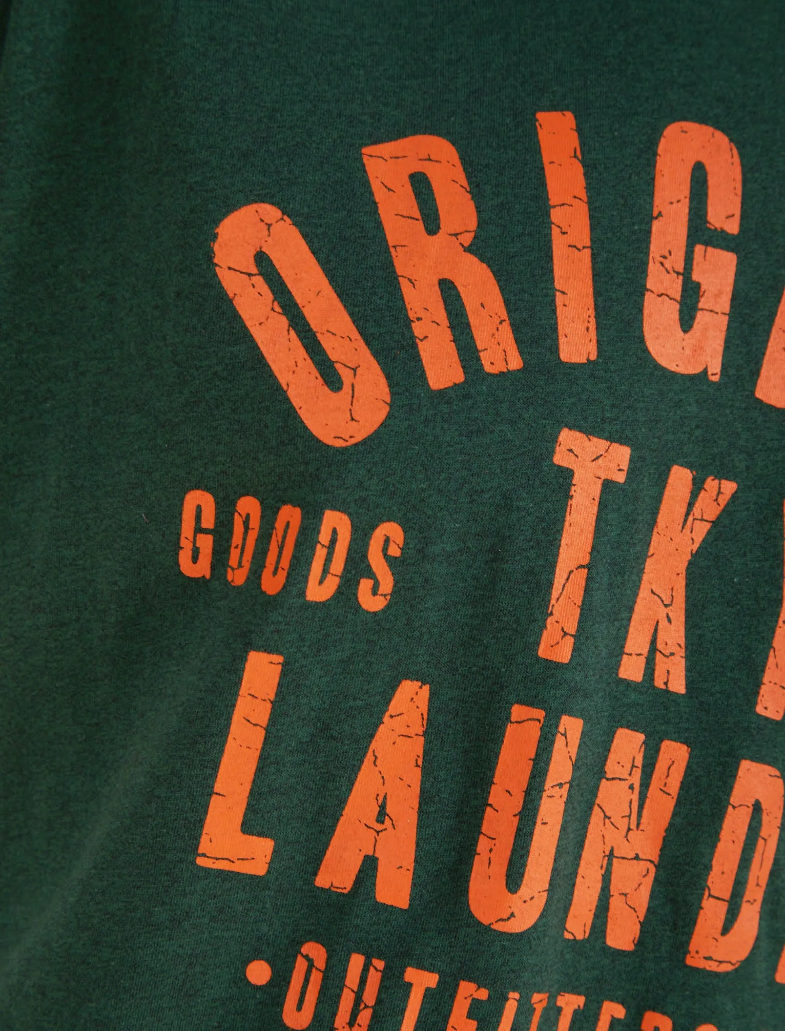 Cartel Motif Cotton Jersey Grindle T-Shirt in Green - Tokyo Laundry sold by Tokyo Laundry product image thumbnail 3