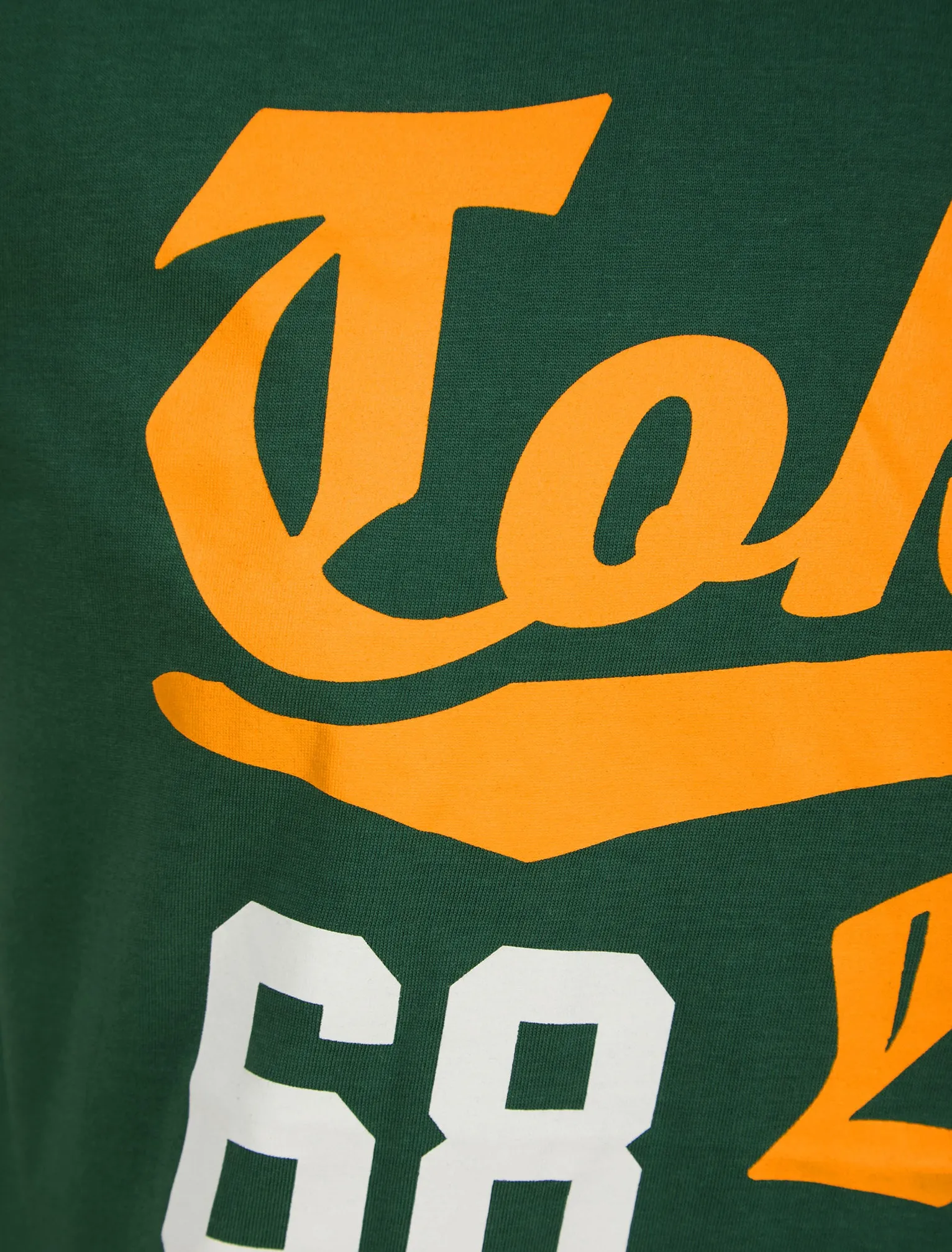 Forest Motif Cotton Jersey T-Shirt in Dark Green - Tokyo Laundry sold by Tokyo Laundry product image thumbnail 3