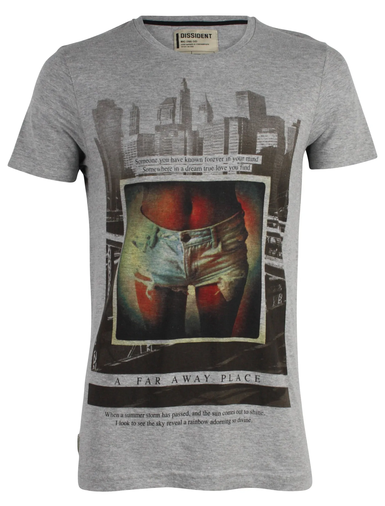 Midriff Motif Crew Neck T-Shirt in Light Grey Marl - Dissident sold by Tokyo Laundry