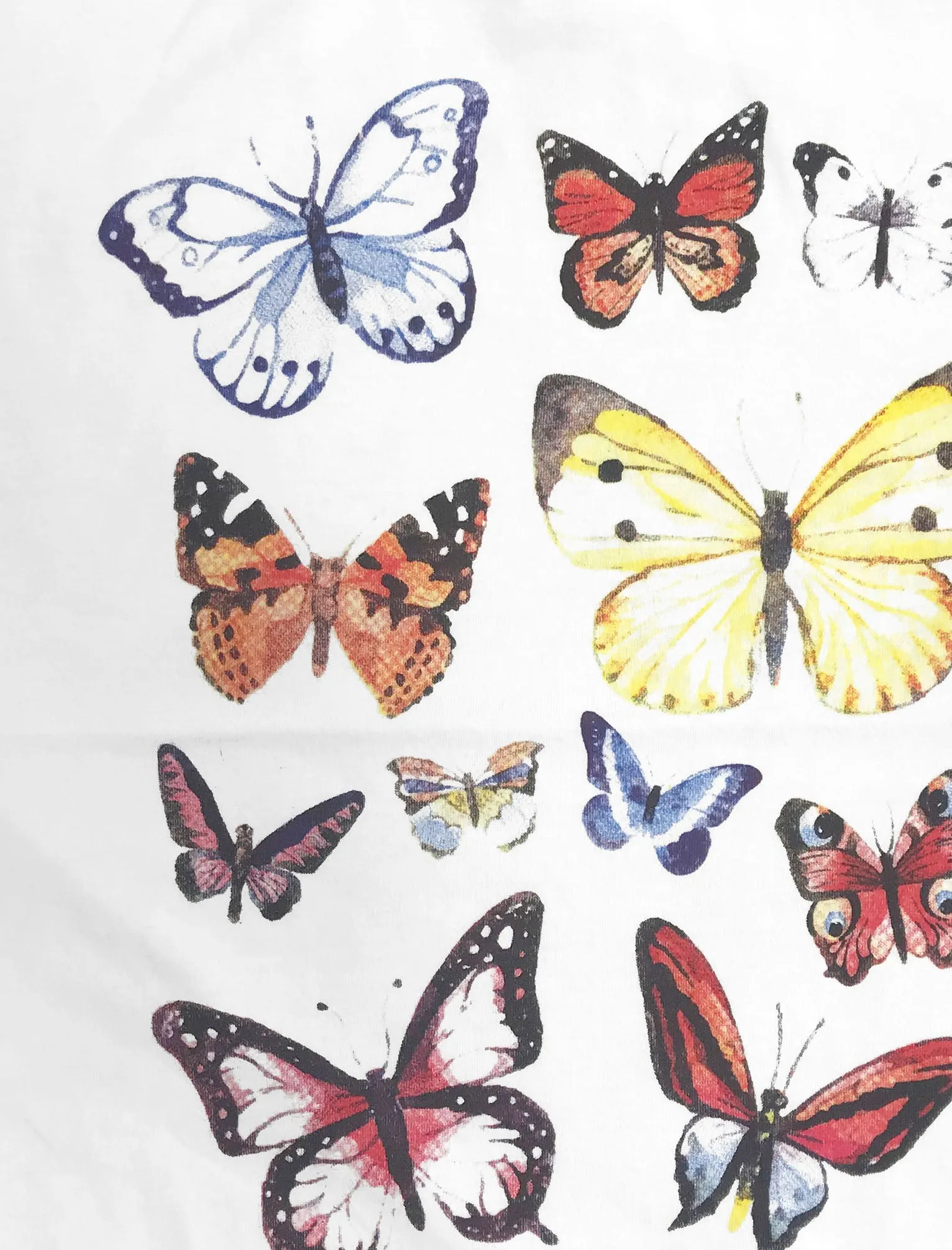 Book Fly Motif Cotton Crew Neck T-Shirt in Snow White - Weekend Vibes sold by Tokyo Laundry product image thumbnail 3