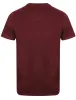Springfield Motif Cotton T-Shirt In Wine Tasting - Tokyo Laundry sold by Tokyo Laundry