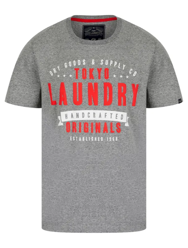 Imperium Motif Cotton Jersey Grindle T-Shirt in Light Grey - Tokyo Laundry sold by Tokyo Laundry