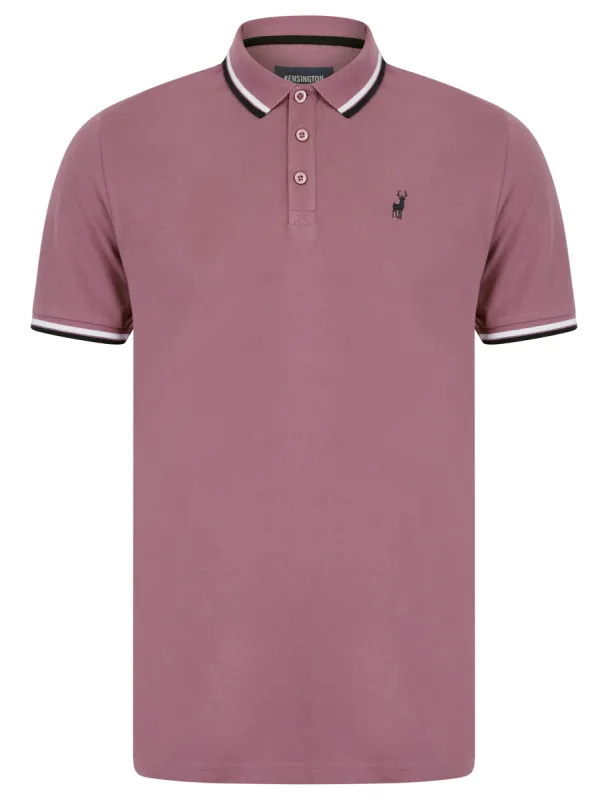 Underwood 2 Cotton Pique Polo Shirt in Grapeade - Kensington Eastside sold by Tokyo Laundry