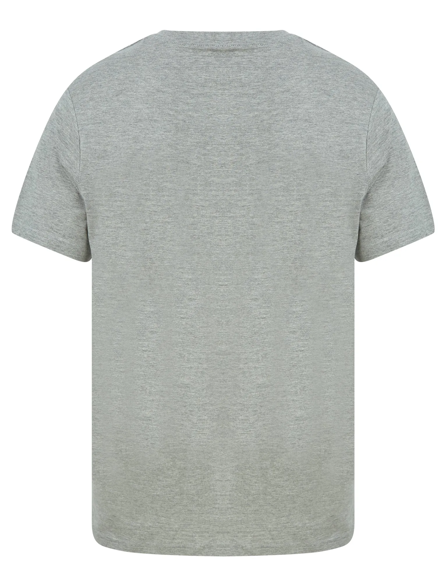 Eastside Motif Cotton Jersey T-Shirt in Light Grey Marl - South Shore sold by Tokyo Laundry product image thumbnail 2