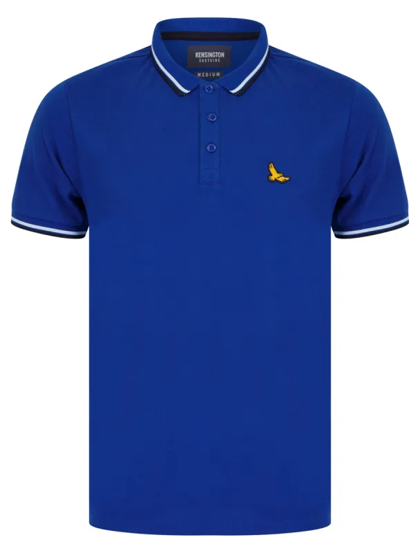 Trundle Cotton Pique Polo Shirt with Tipping in True Blue - Kensington Eastside sold by Tokyo Laundry