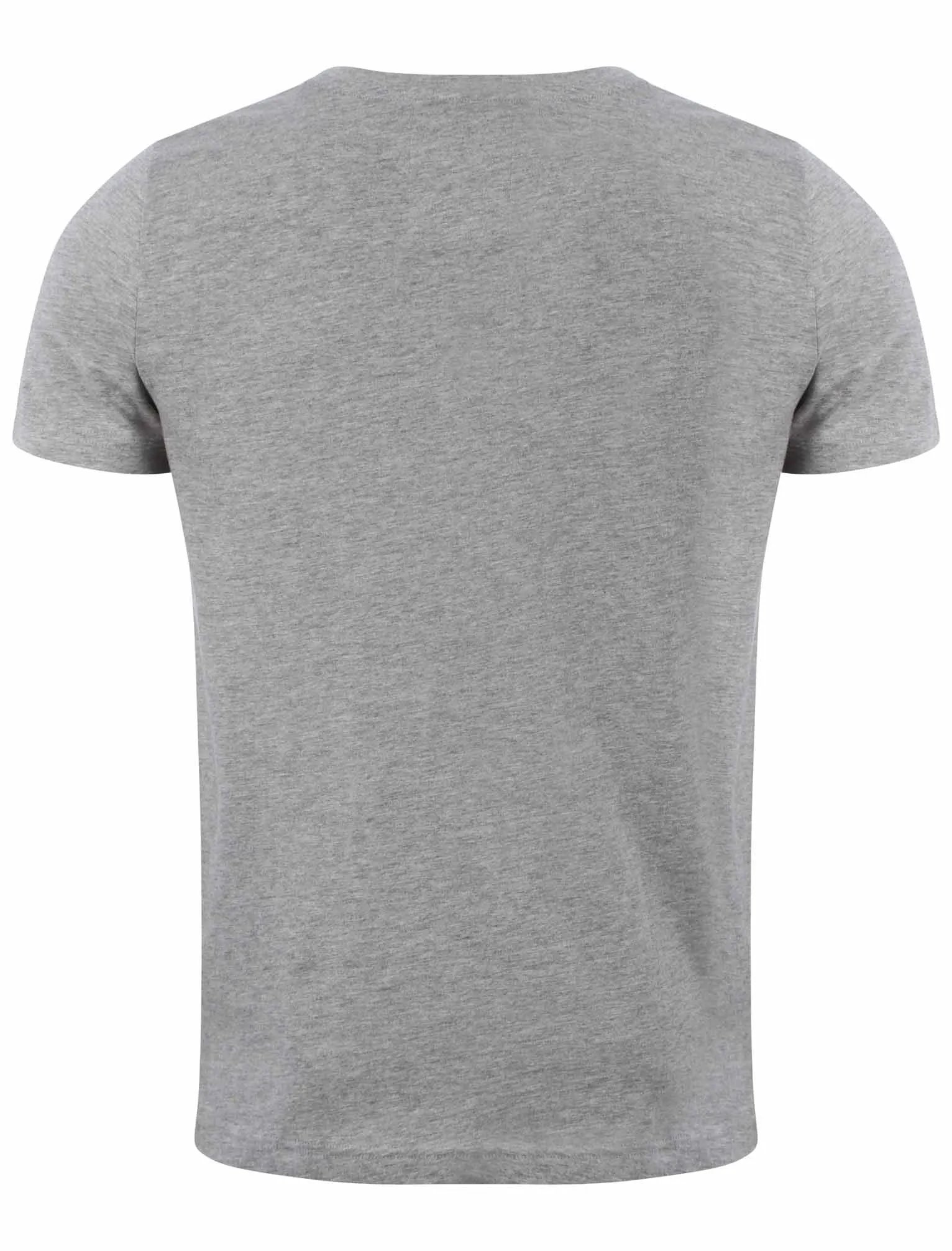 Dissident Brooklyn Steel T-Shirt in Light Grey Marl sold by Tokyo Laundry product image thumbnail 2