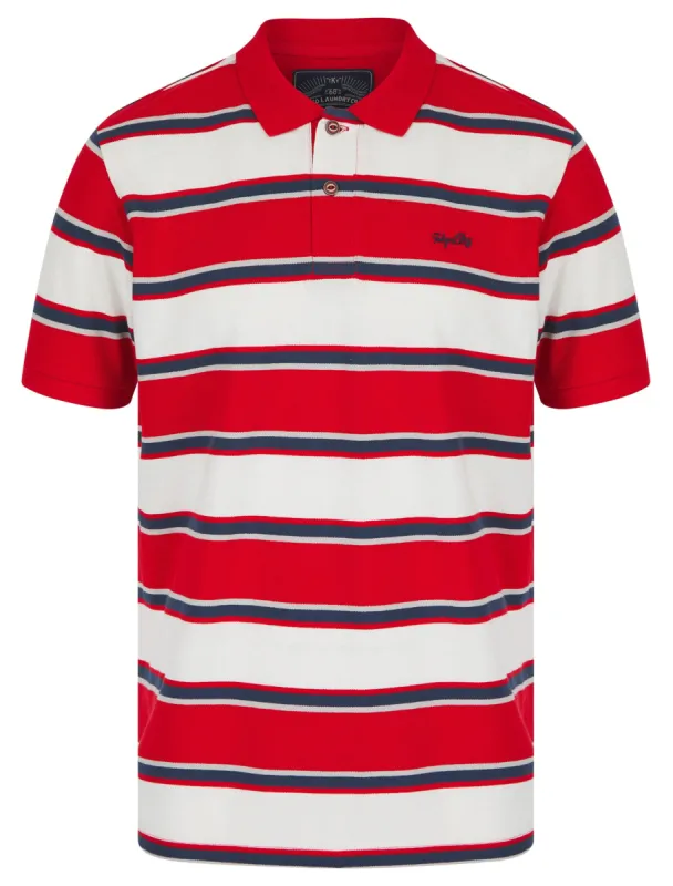 Francis Striped Cotton Pique Polo Shirt in Barados Cherry - Tokyo Laundry sold by Tokyo Laundry