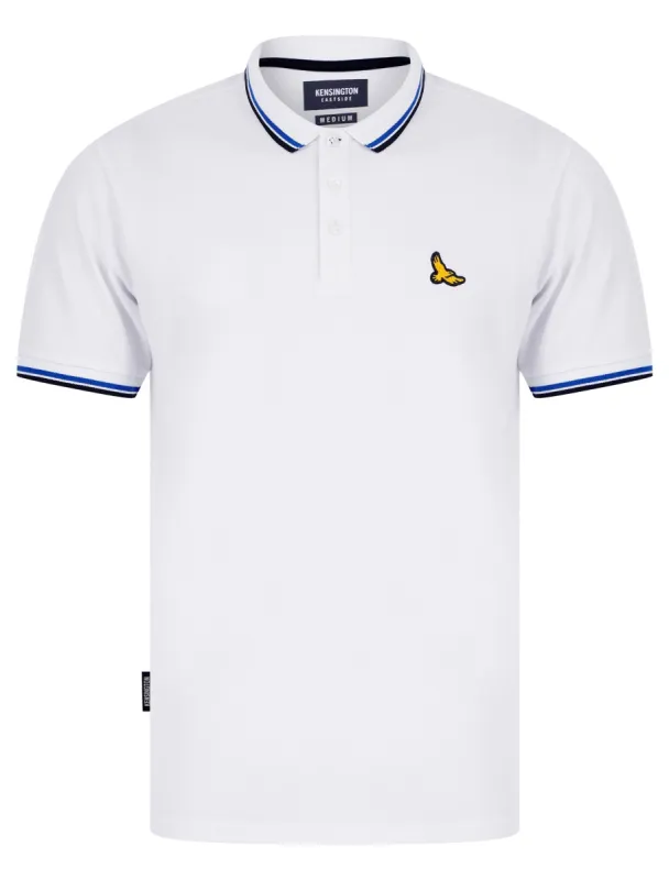 Jerry Cotton Pique Polo Shirt with Tipping in Bright White - Kensington Eastside sold by Tokyo Laundry