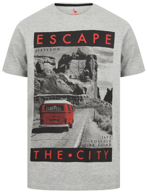 Mountain Drive Motif Cotton T-Shirt In Light Grey Marl - South Shore sold by Tokyo Laundry