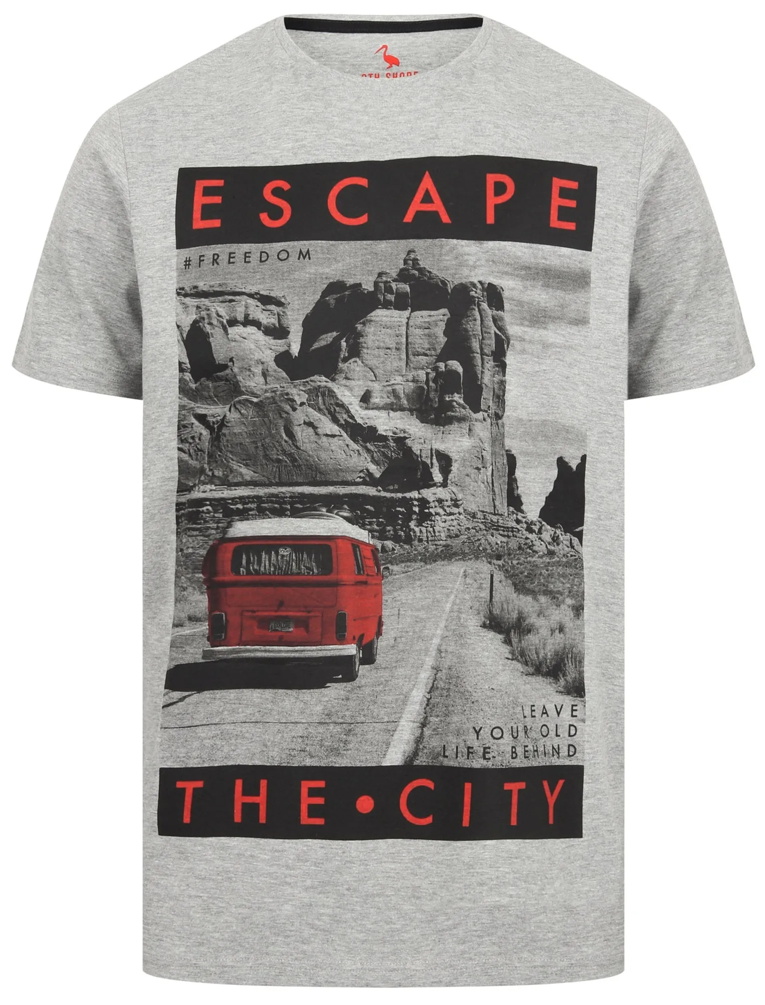 Mountain Drive Motif Cotton T-Shirt In Light Grey Marl - South Shore sold by Tokyo Laundry