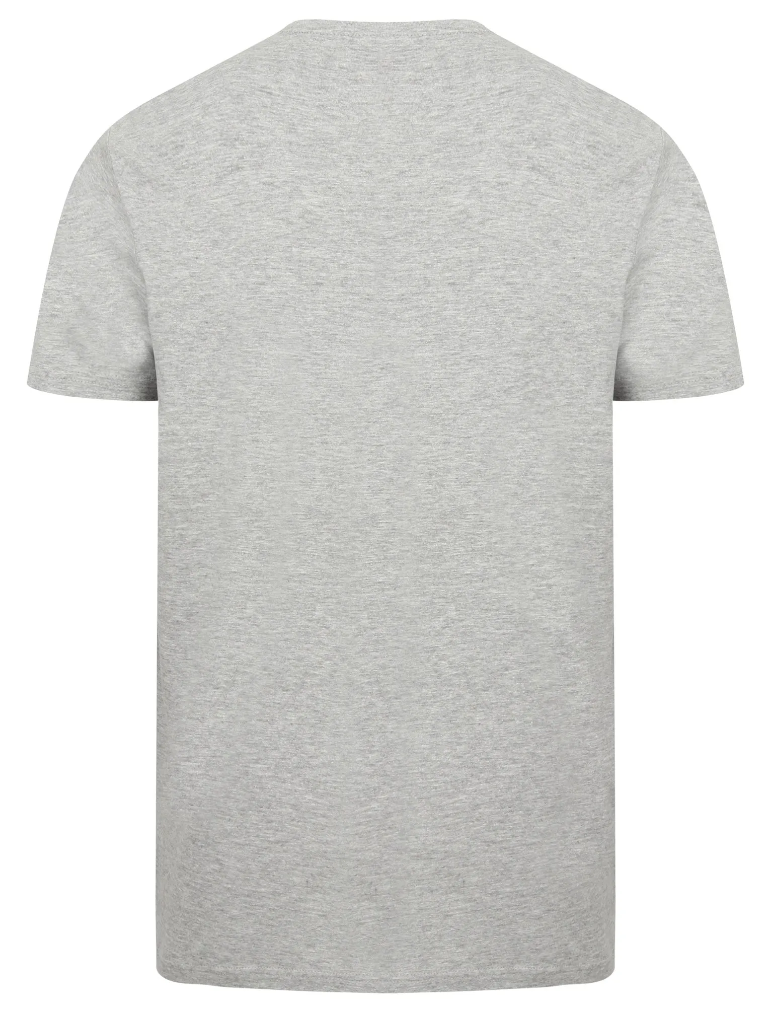 Mountain Drive Motif Cotton T-Shirt In Light Grey Marl - South Shore sold by Tokyo Laundry product image thumbnail 2