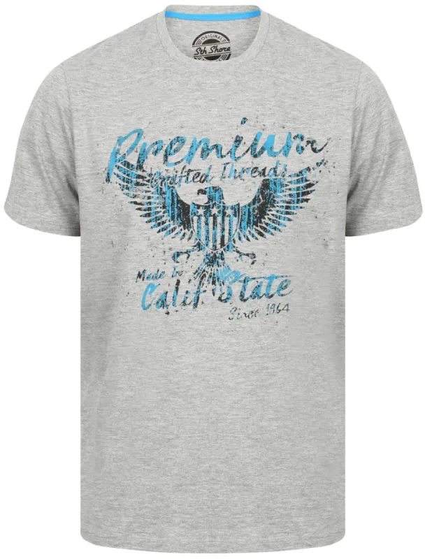 Premium Motif Crew Neck Cotton T-Shirt In Light Grey Marl - South Shore sold by Tokyo Laundry