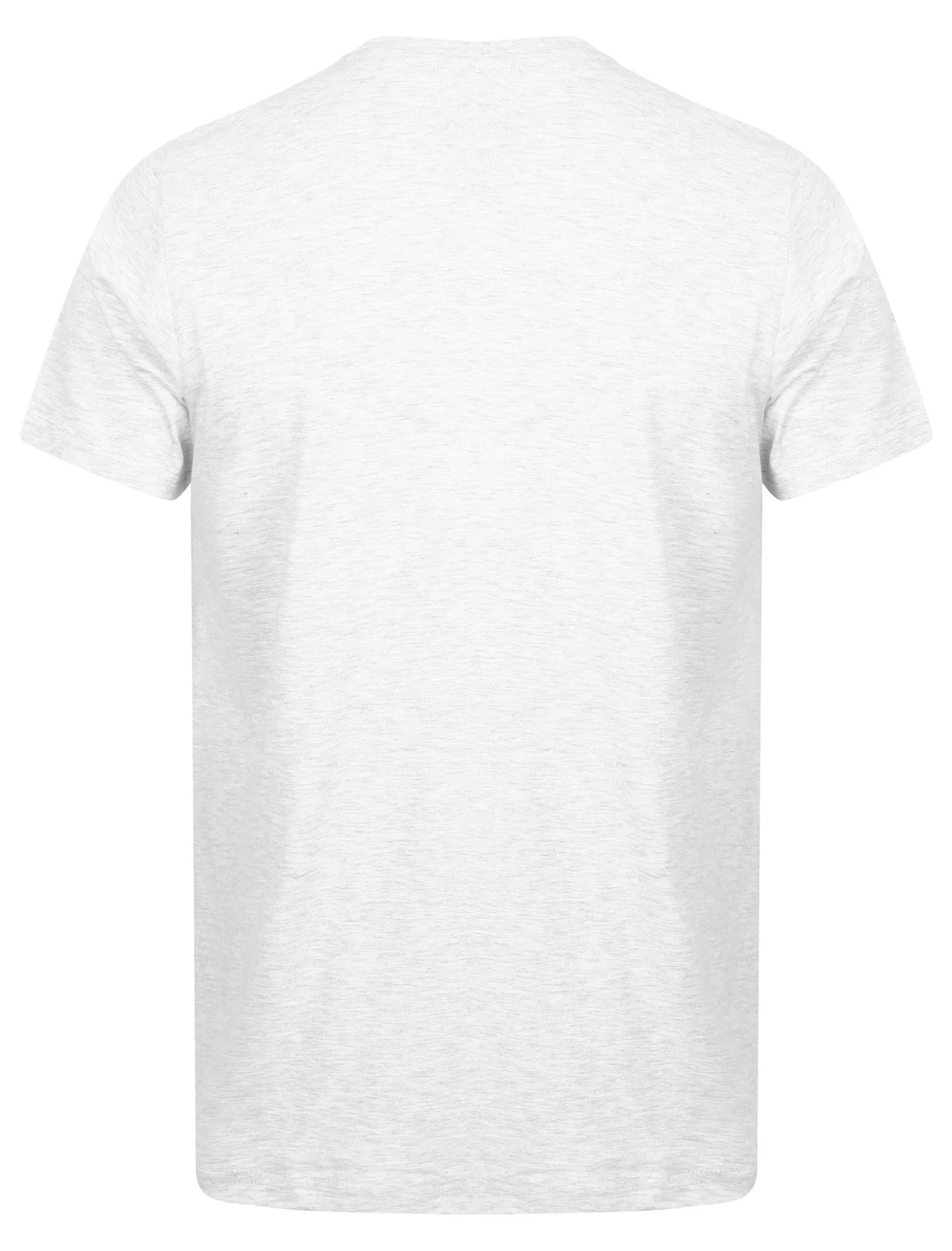 Peavey Cotton Crew Neck T-Shirt In Ice Grey Marl - South Shore sold by Tokyo Laundry product image thumbnail 2