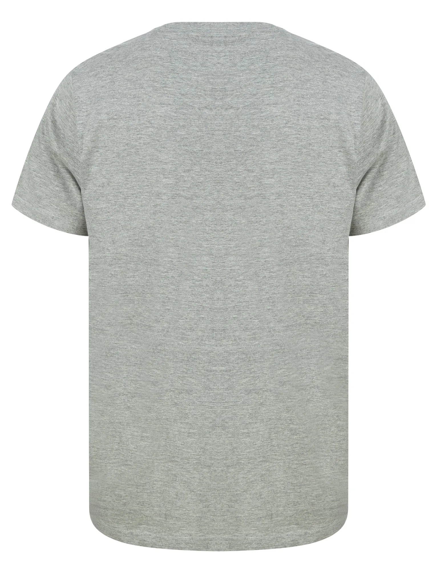 Fearless Motif Cotton Jersey T-Shirt in Light Grey Marl - South Shore sold by Tokyo Laundry product image thumbnail 2