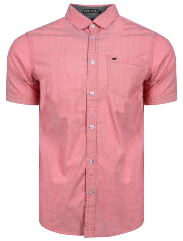 Valencia Short Sleeve Cotton Shirt in Peach - Tokyo Laundry sold by Tokyo Laundry