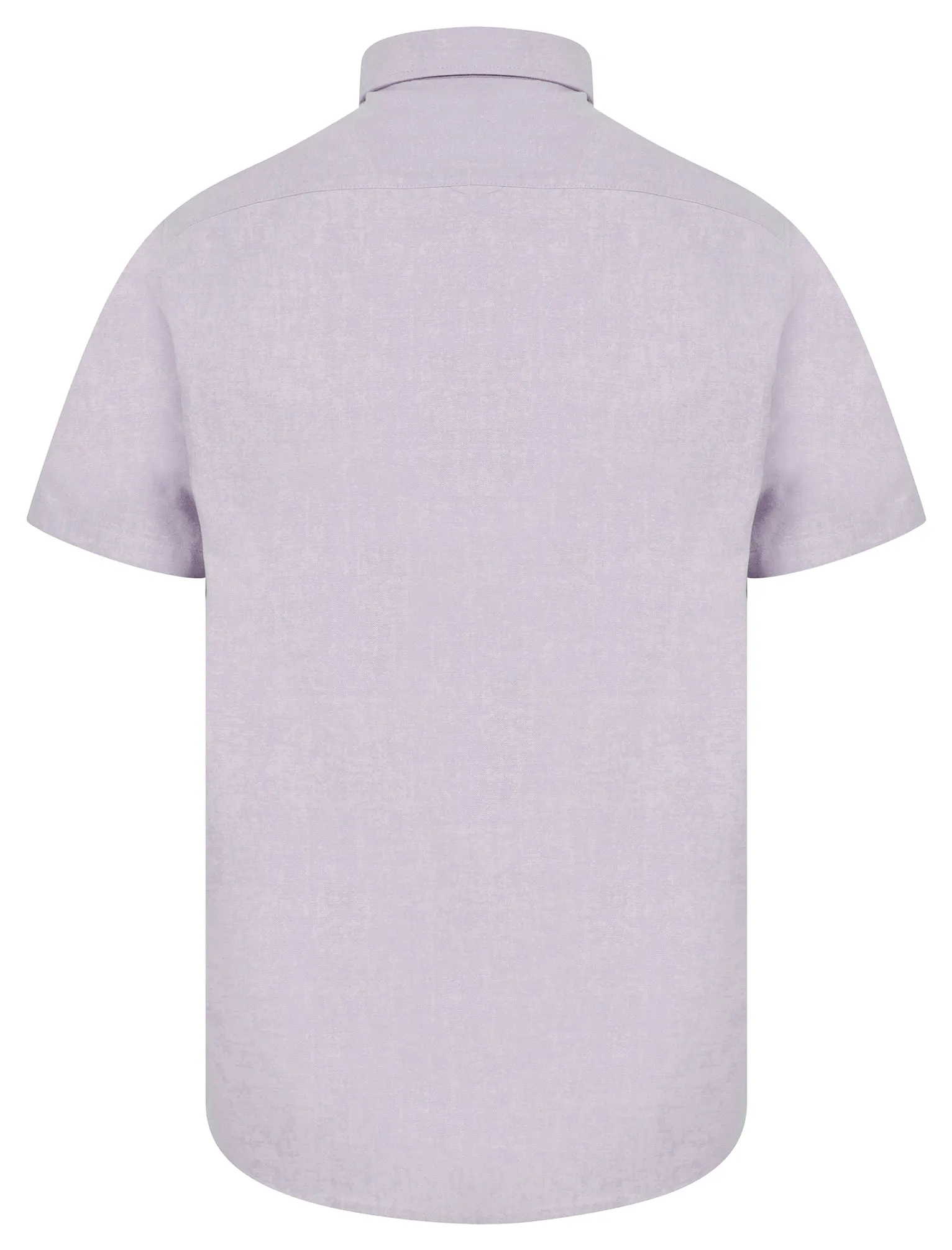 Tiberius Short Sleeve Oxford Cotton Shirt in Lilac - Tokyo Laundry sold by Tokyo Laundry product image thumbnail 2