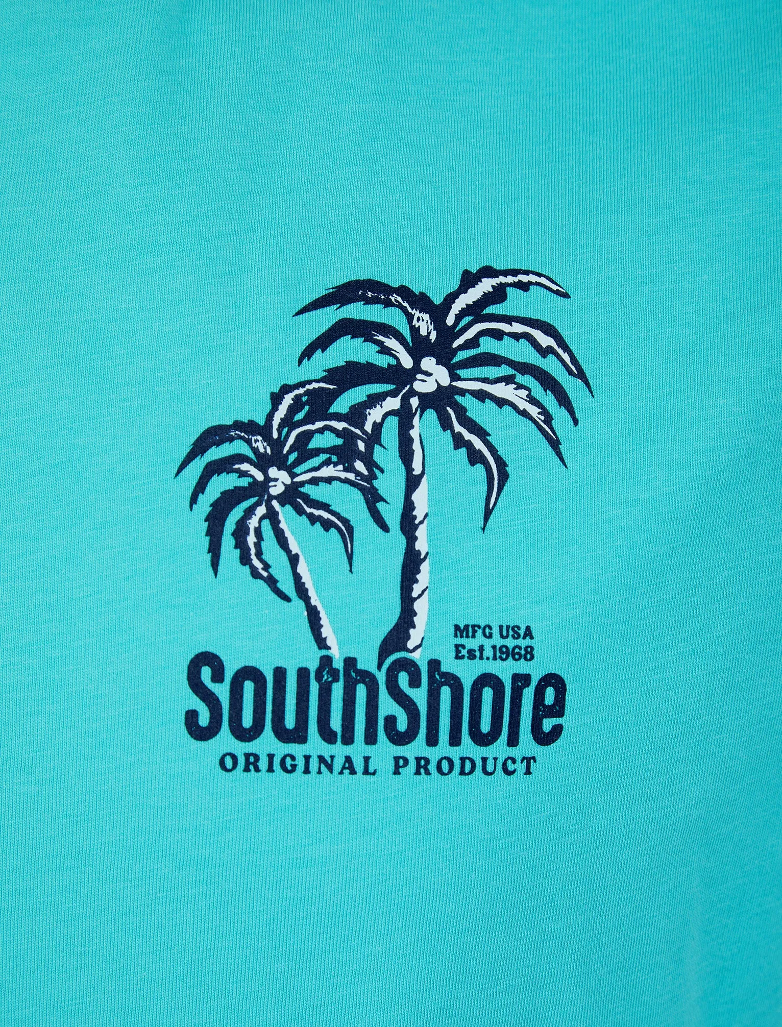 Bramley Reverse Print Motif Cotton Jersey T-Shirt in Blue Curacao - South Shore sold by Tokyo Laundry product image thumbnail 4