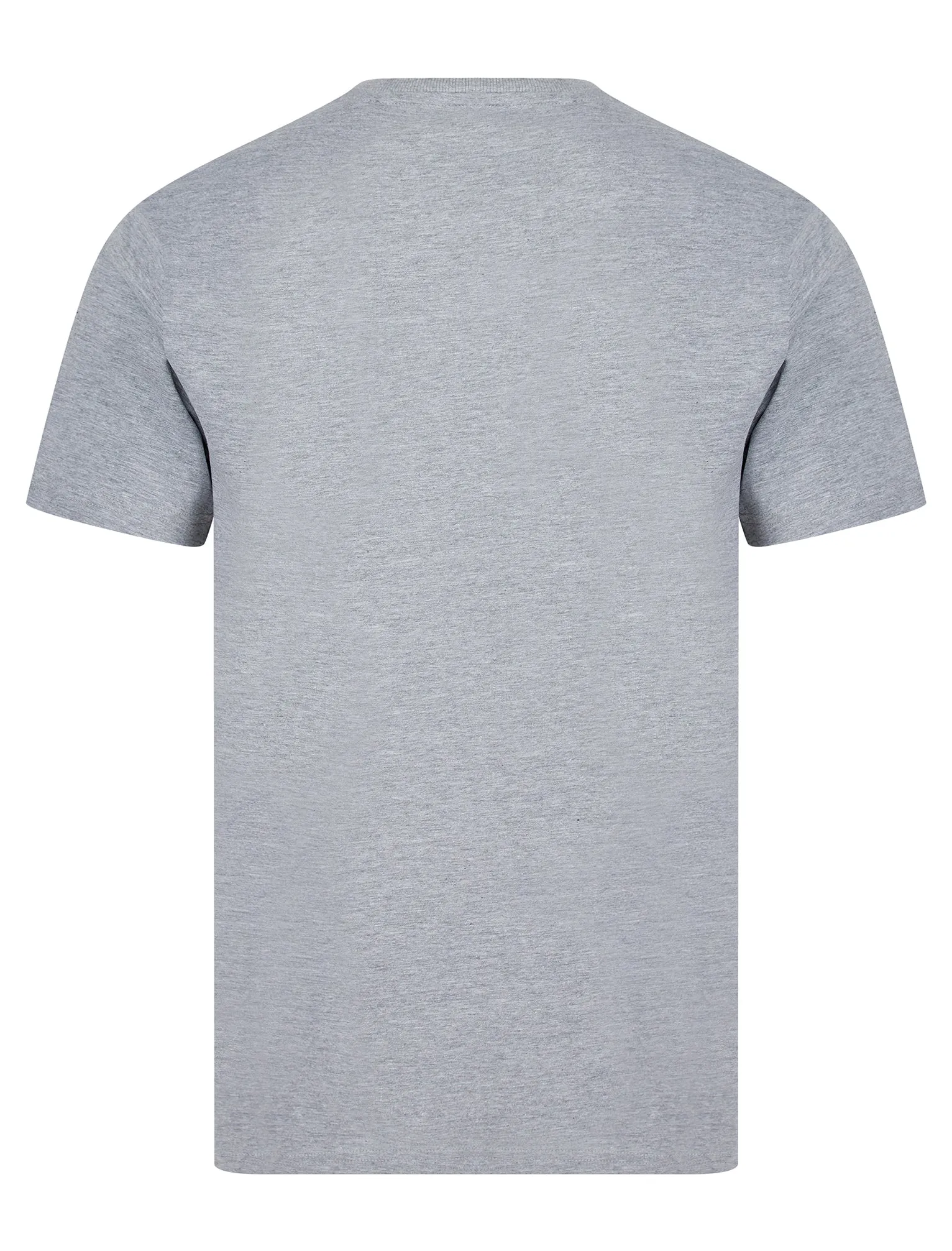 Manor Gradient Print Motif Cotton Jersey Crew Neck T-Shirt in Light Grey Marl - Tokyo Laundry sold by Tokyo Laundry product image thumbnail 2