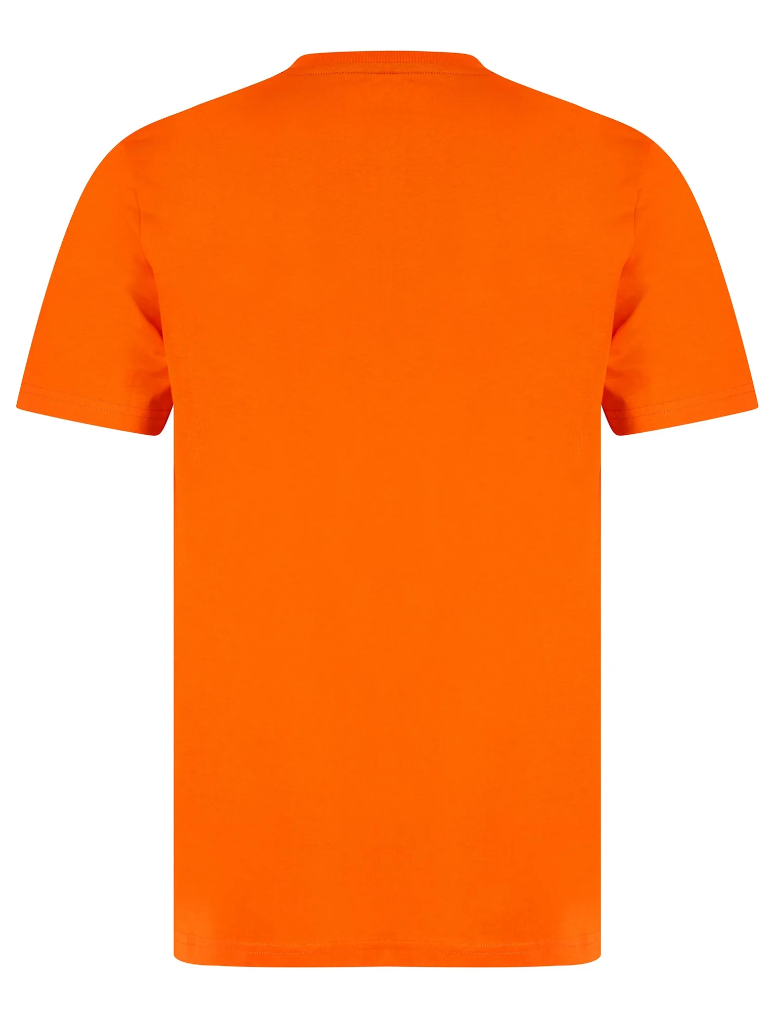 Westwood Gradient Print Motif Cotton Jersey Crew Neck T-Shirt in Puffin's Bill Orange - Tokyo Laundry sold by Tokyo Laundry product image thumbnail 2