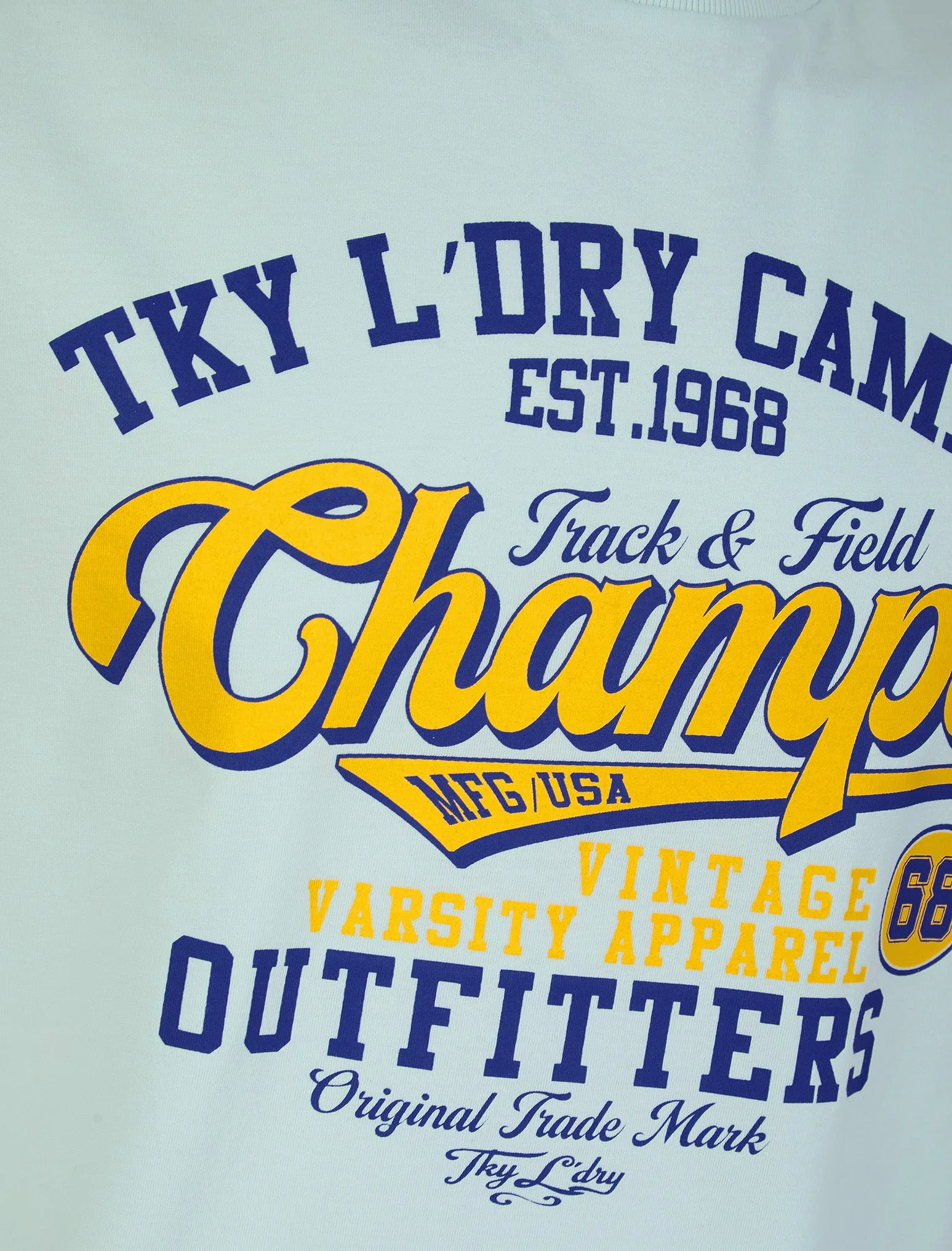 Barkway Vintage Retro Motif Cotton Jersey T-Shirt in Ice Water - Tokyo Laundry sold by Tokyo Laundry product image thumbnail 3