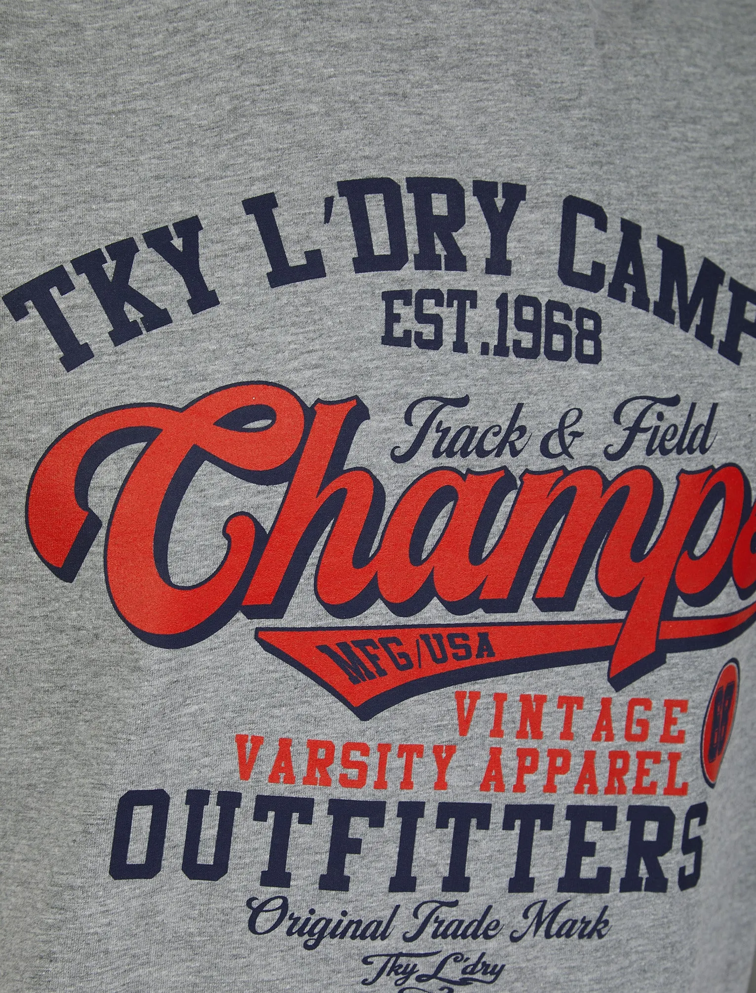 Barkway Vintage Retro Motif Cotton Jersey T-Shirt in Mid Grey Marl - Tokyo Laundry sold by Tokyo Laundry product image thumbnail 3