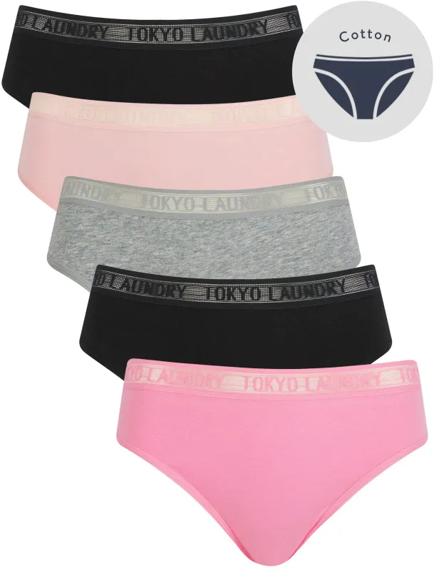 Ayla 4 (5 Pack) Cotton Assorted Briefs with Mesh Waistband in Moonlight Mauve / Jet Black / Light Grey Marl / Bleached Mauve - Tokyo Laundry sold by Tokyo Laundry