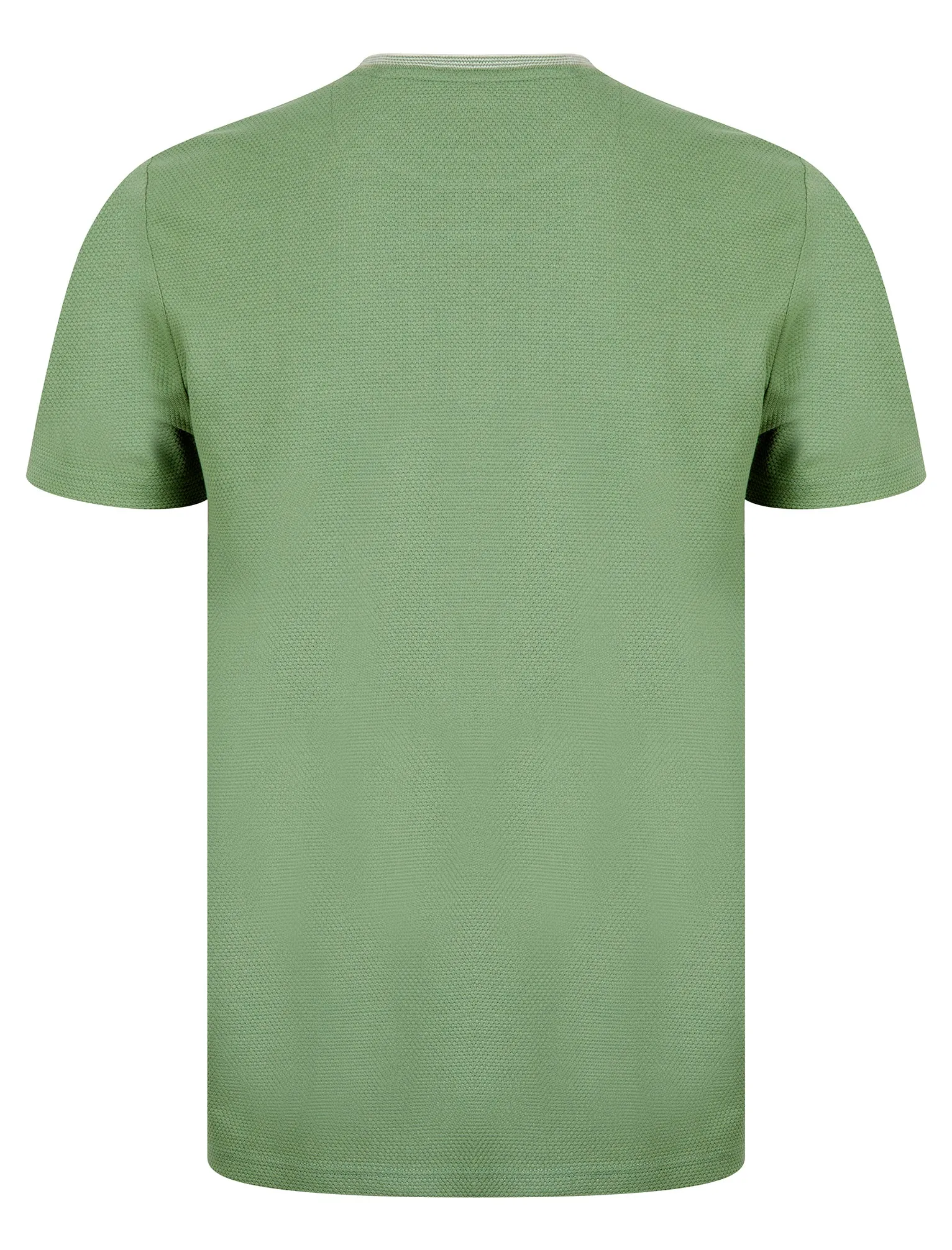 Winkley Cotton Rich Bubble Weave Texture Crew Neck Ringer T-Shirt in Green Milieu - Kensington Eastside sold by Tokyo Laundry product image thumbnail 2