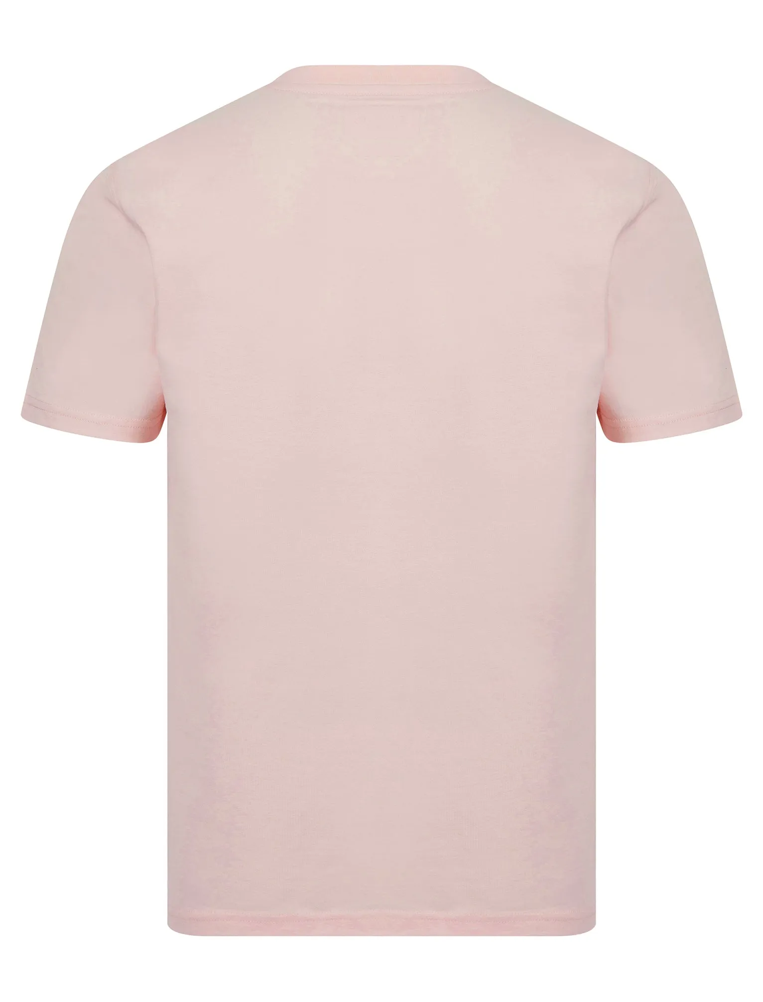 Bisley Crew Neck Soft Peached Cotton Jersey T-Shirt in Barely Pink - Kensington Eastside sold by Tokyo Laundry product image thumbnail 2