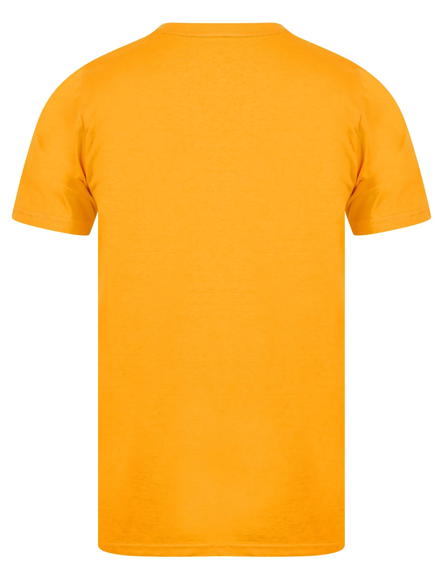 Forest Motif Cotton Jersey T-Shirt in Artisan’s Gold - Tokyo Laundry sold by Tokyo Laundry product image thumbnail 2