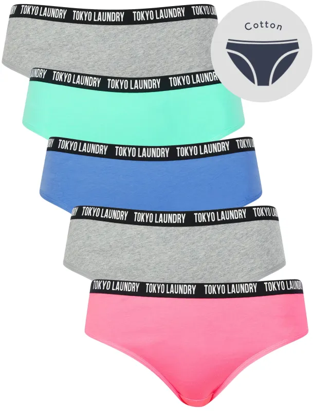 Zara 7 (5 Pack) Cotton Assorted Briefs in Pink Cosmos / Light Grey Marl / Blue Bonnet / Pool Blue - Tokyo Laundry sold by Tokyo Laundry