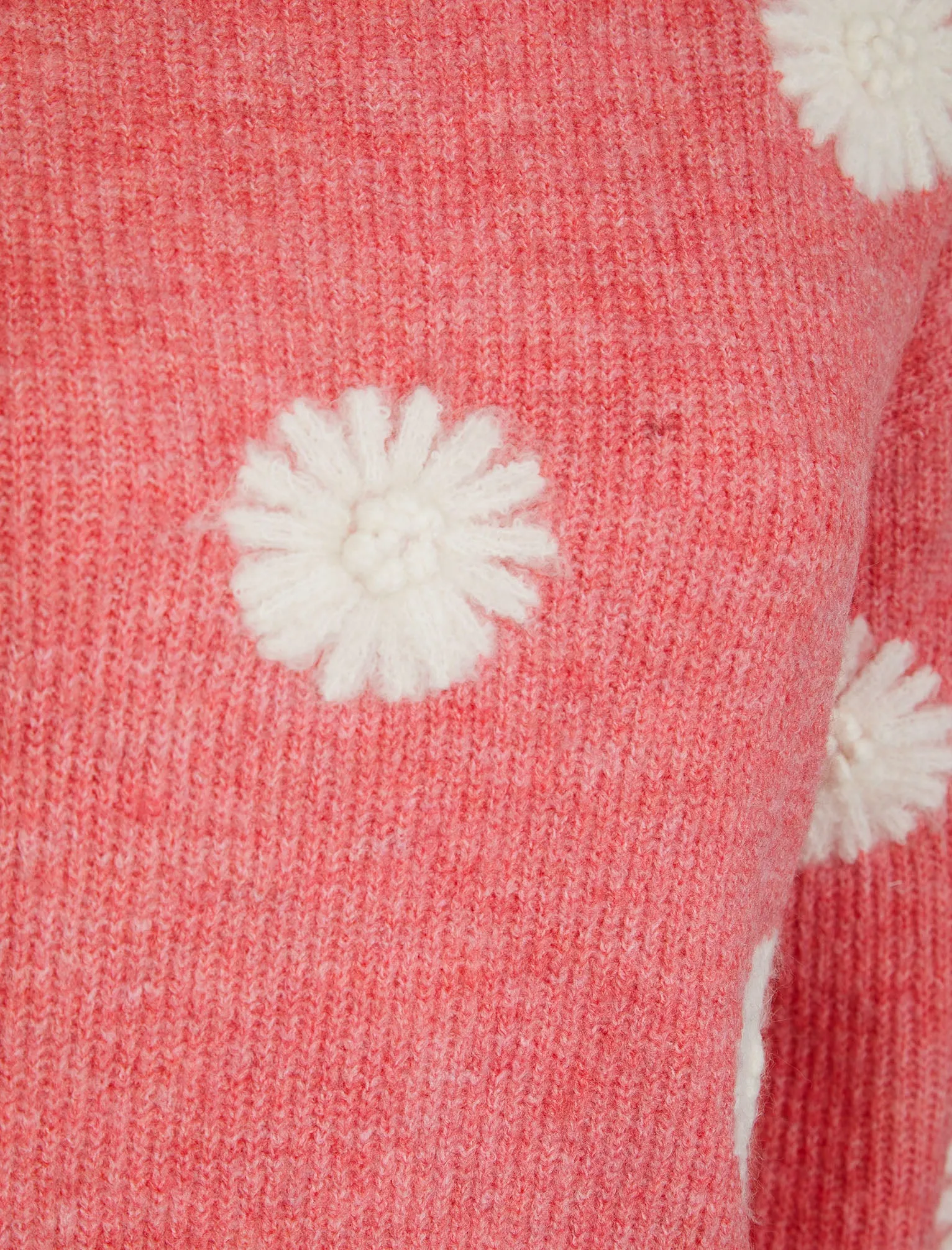 Gooseberry Women's Drop Shoulder Embroidered Crew Neck Rib Knit Jumper in Confetti - Amara Reya sold by Tokyo Laundry product image thumbnail 3