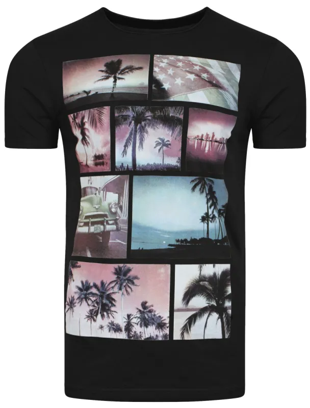 Faded Palm Tree  T-Shirt in Black - Dissident sold by Tokyo Laundry