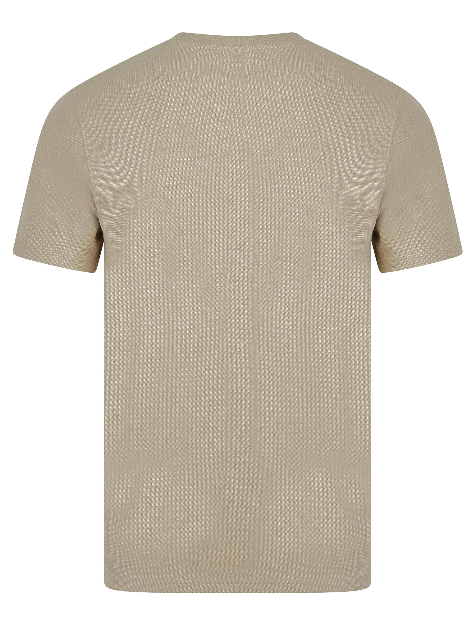 Tarot Cotton Blend Jersey Crew Neck T-Shirt in Trench Coat - Tokyo Laundry sold by Tokyo Laundry product image thumbnail 2