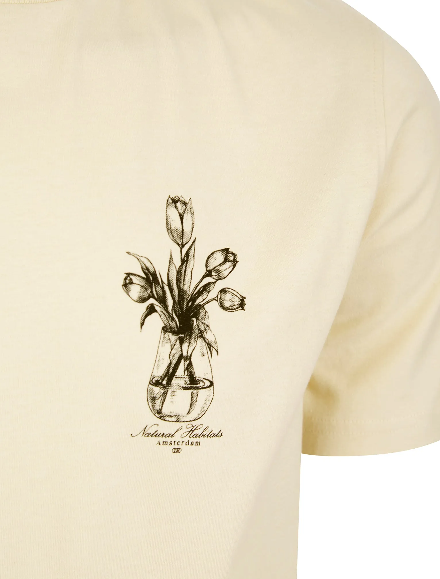 Tassos Vintage Retro Reverse Graphic Print Cotton Jersey T-Shirt in Summer Sand - Tokyo Laundry sold by Tokyo Laundry product image thumbnail 4