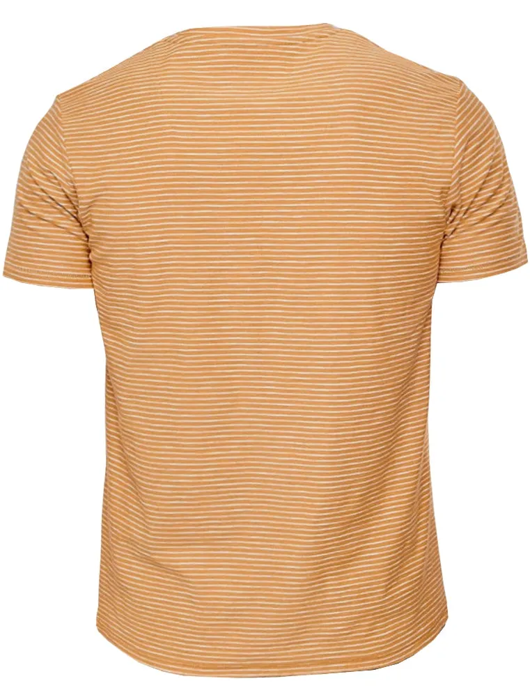 Carmel Valley Stripe Cotton T-Shirt with Pocket in Ochre sold by Tokyo Laundry product image thumbnail 2