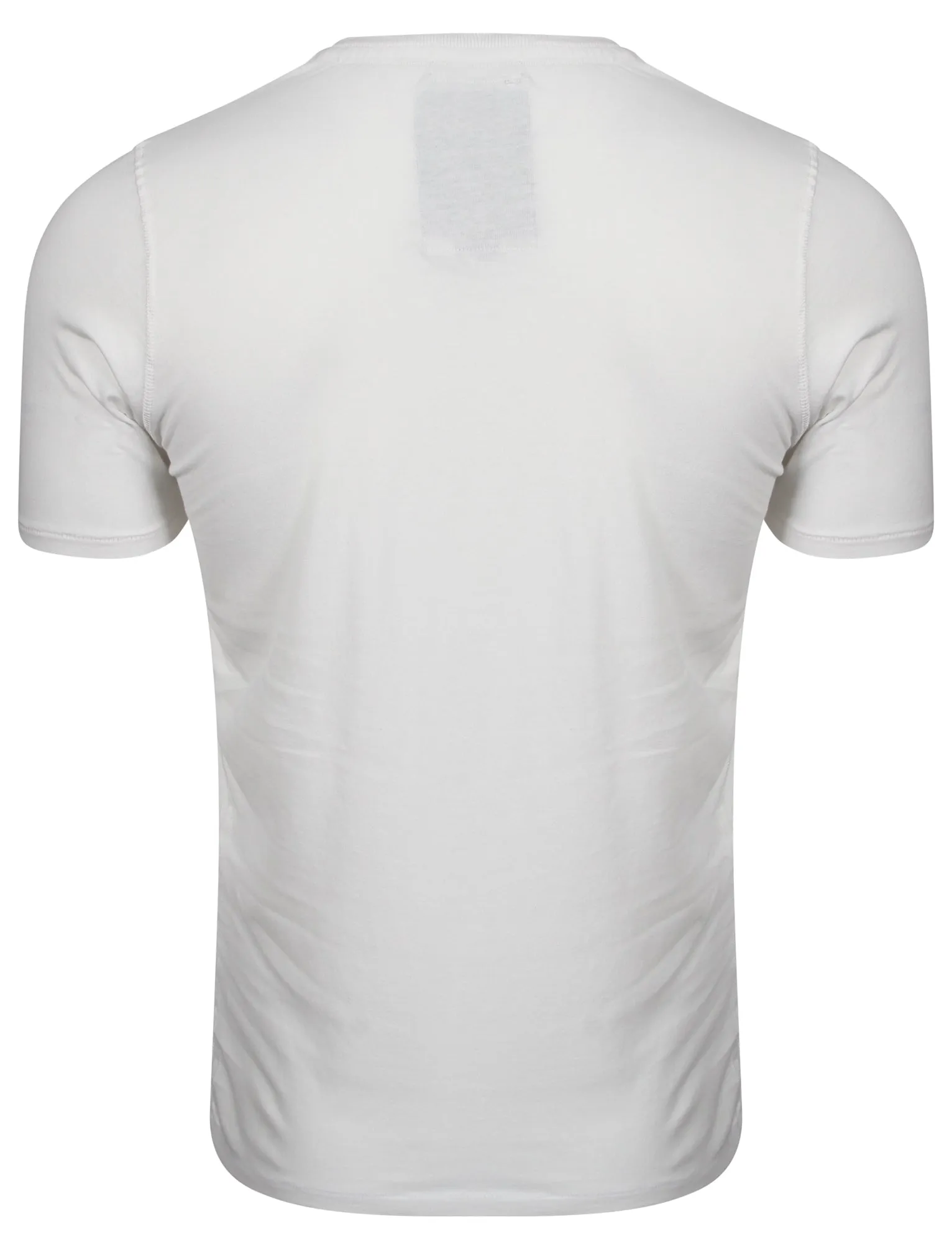 Wave Riders Motif Cotton T-Shirt in Ivory - Tokyo Laundry sold by Tokyo Laundry product image thumbnail 2