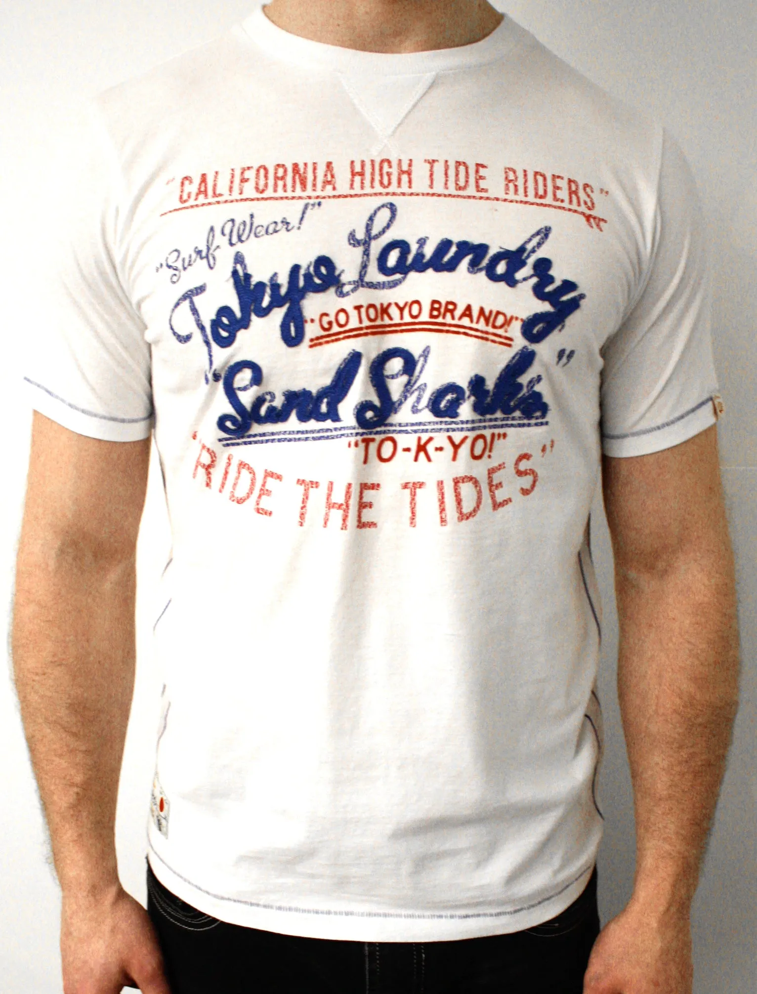 Tokyo Laundry Gazi Crew Neck T-Shirt in Ivory sold by Tokyo Laundry product image thumbnail 3