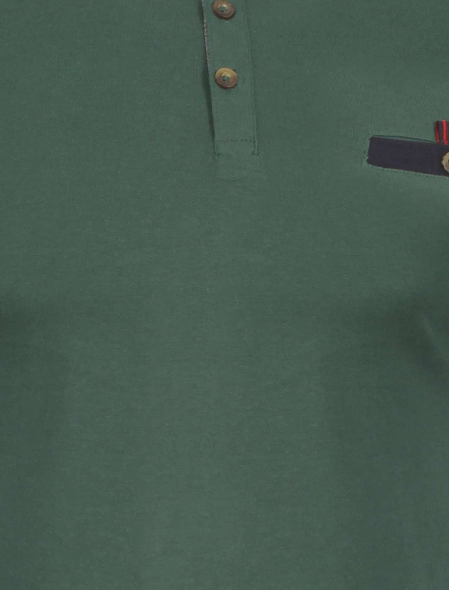 Le Shark Bramwell polo shirt in green sold by Tokyo Laundry product image thumbnail 4