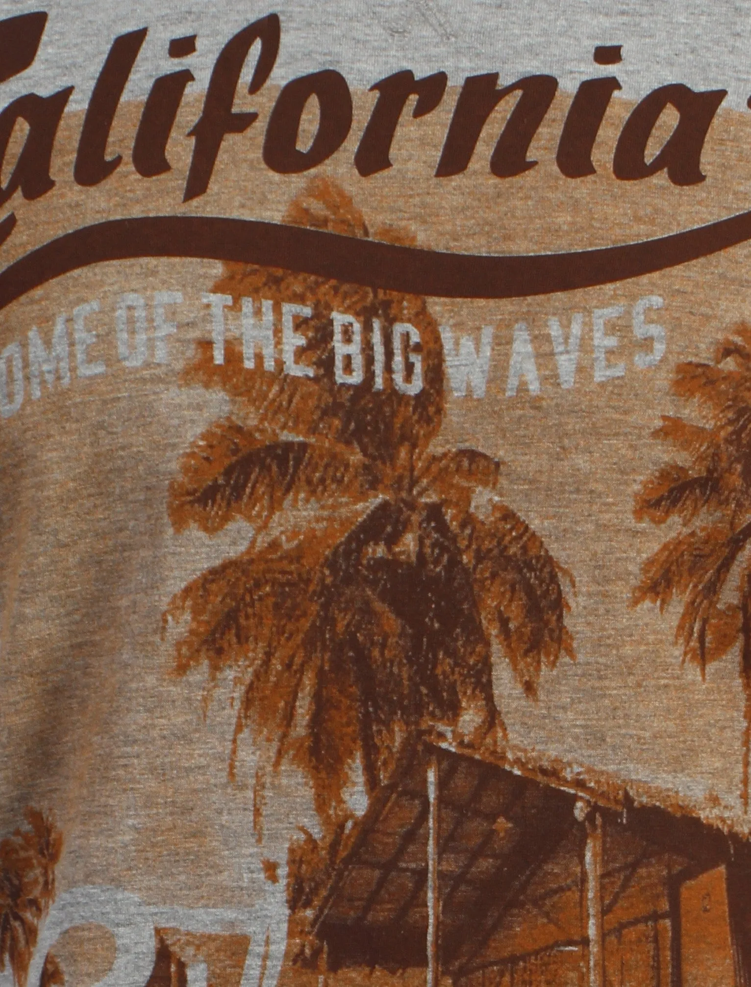 South Shore Cali 75 printed cotton t-shirt in grey sold by Tokyo Laundry product image thumbnail 3