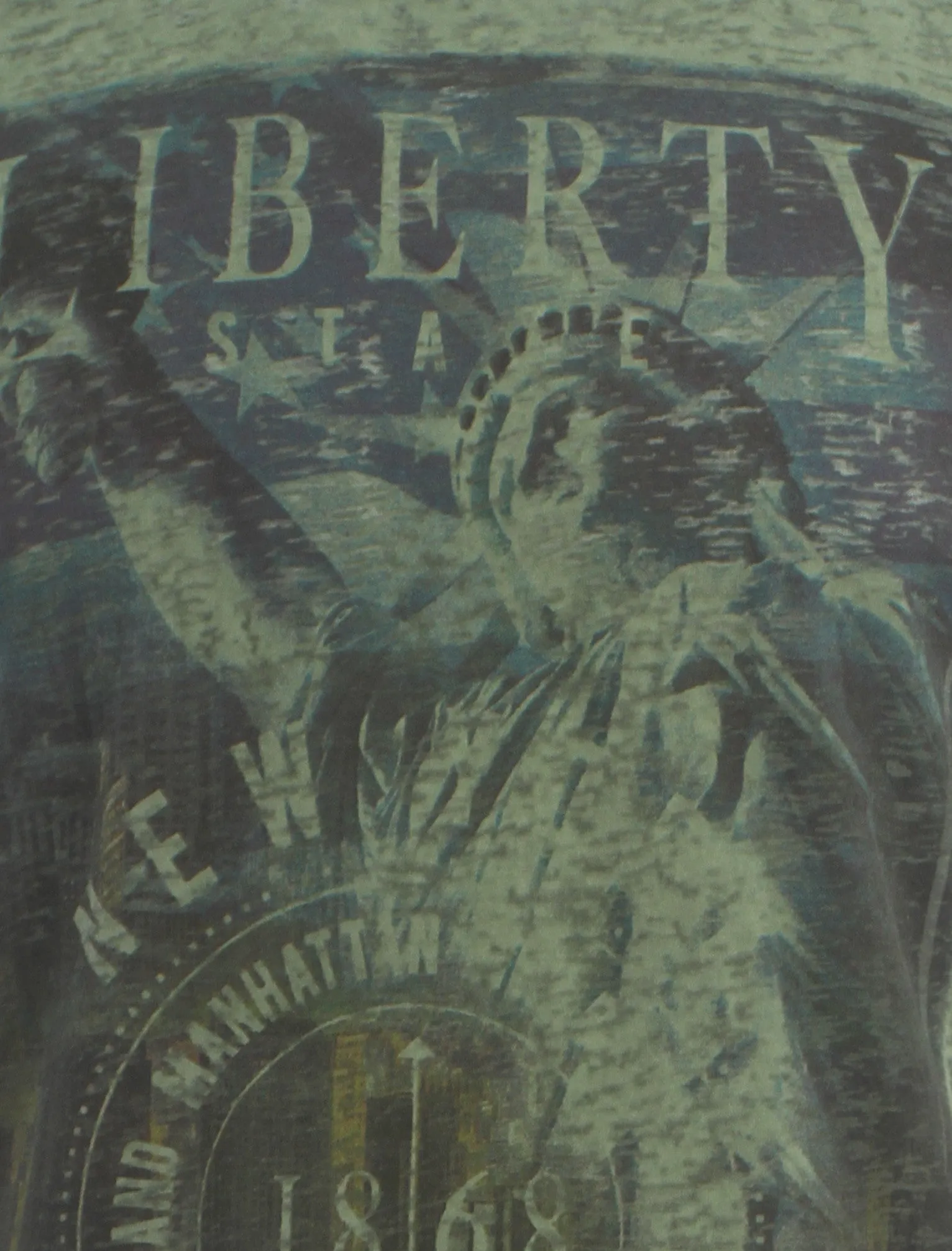 Dissident burnt olive Liberty State T-Shirt sold by Tokyo Laundry product image thumbnail 3