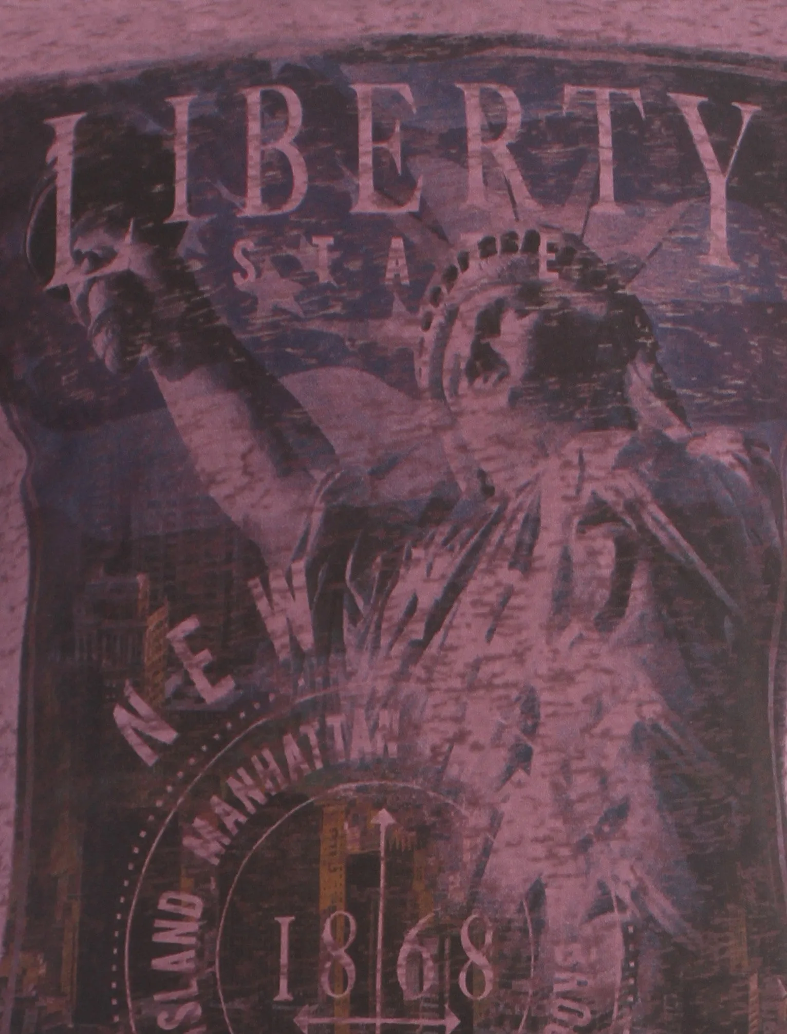 Dissident light mahogany Liberty State T-Shirt sold by Tokyo Laundry product image thumbnail 3