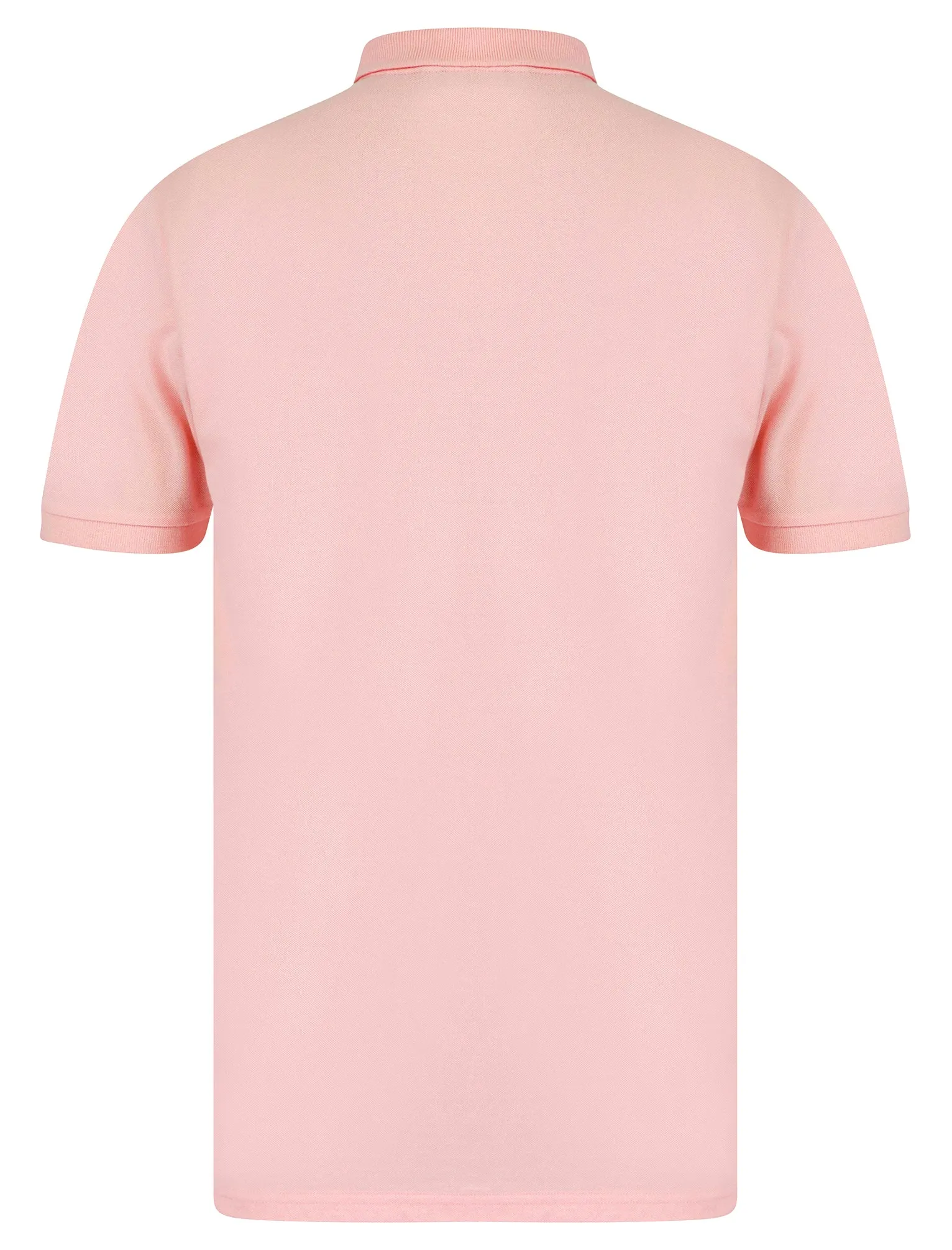 Hayden Yarn Dyed Stripe Cotton Pique Polo Shirt in Pinkesque - Tokyo Laundry sold by Tokyo Laundry product image thumbnail 2