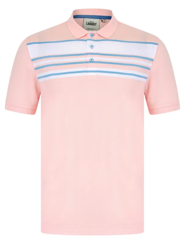 Hayden Yarn Dyed Stripe Cotton Pique Polo Shirt in Pinkesque - Tokyo Laundry sold by Tokyo Laundry