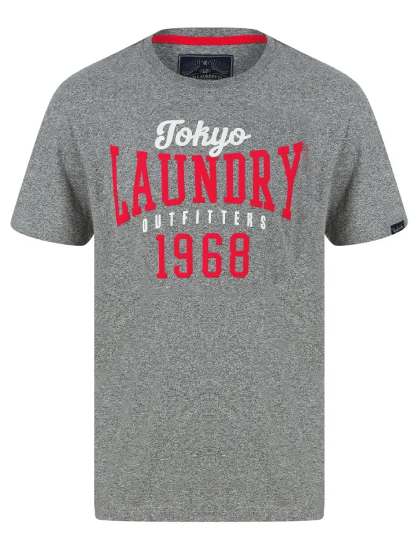 Search Motif Cotton Jersey Grindle T-Shirt in Light Grey - Tokyo Laundry sold by Tokyo Laundry