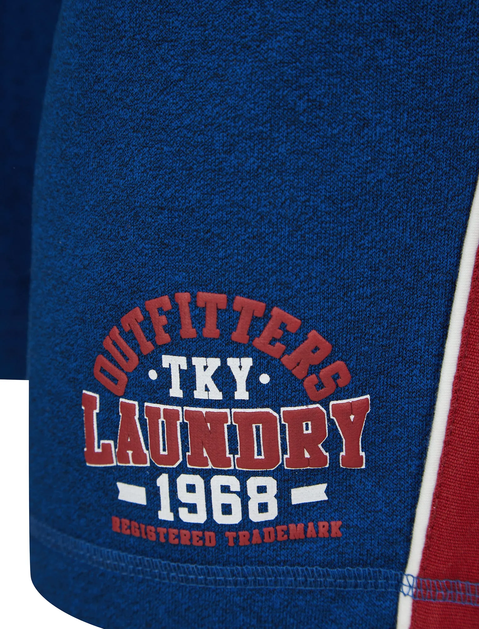 Edit Grindle Jogger Shorts with Contrast Panels in Blue - Tokyo Laundry sold by Tokyo Laundry product image thumbnail 4