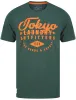 Robins Motif Cotton Jersey T-Shirt In Green Grindle - Tokyo Laundry sold by Tokyo Laundry